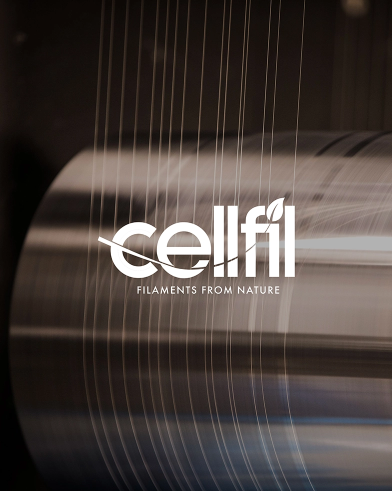 Filaments (Photo)